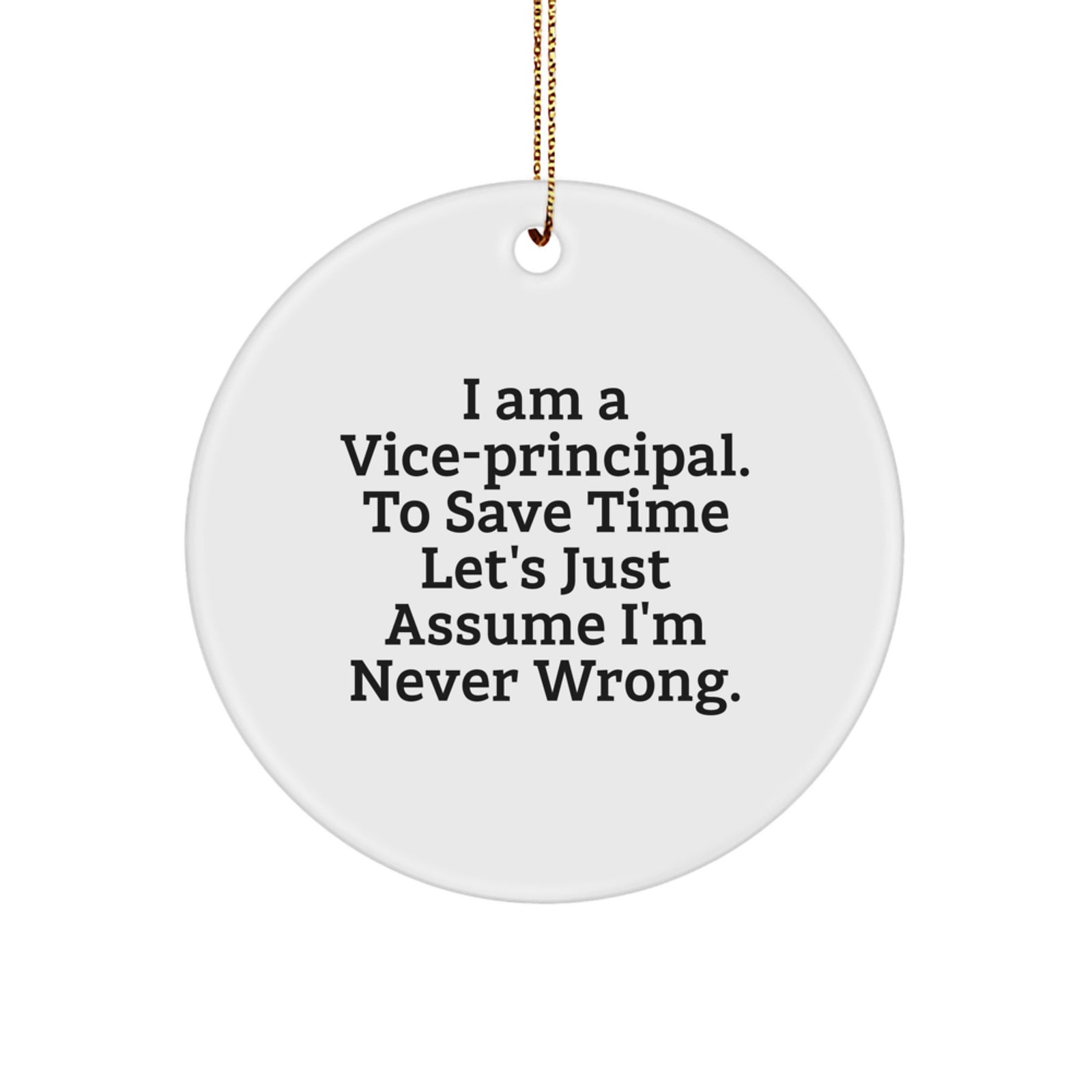 Funny Vice-principal Circle Ornament Gifts from Men to Vice-principal for Christmas Unique Ornaments - Image 1