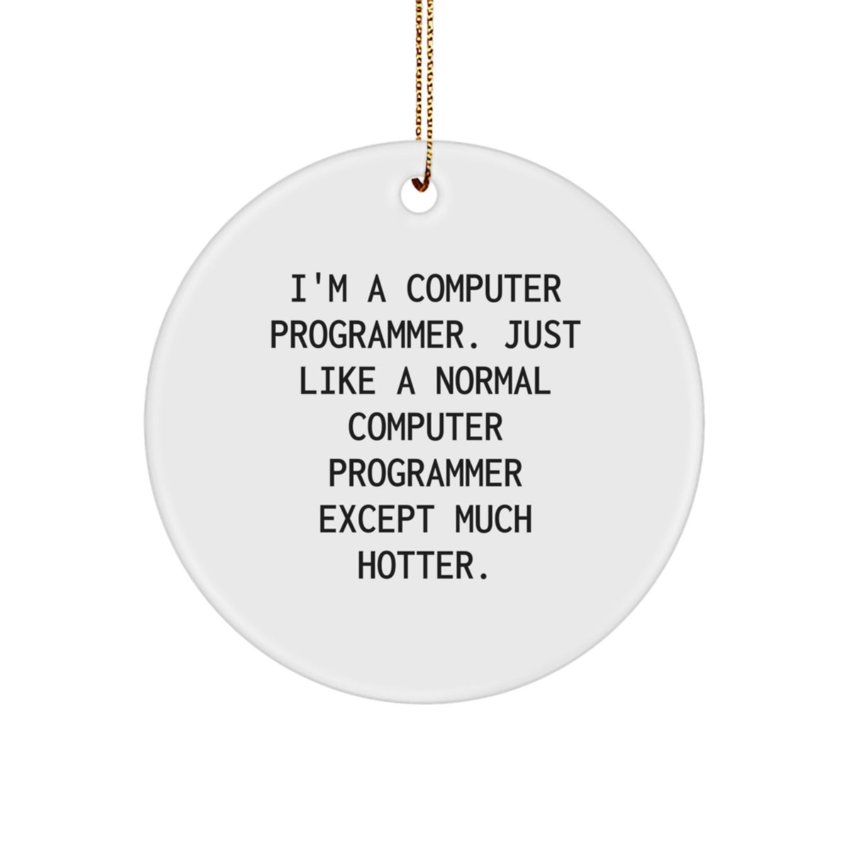 Funny Computer Programmer Gifts from Friends for Men, Unique Circle Ornament I'm A Computer Programmer Just Like A Normal One Except Much Hotter for Christmas - Image 1