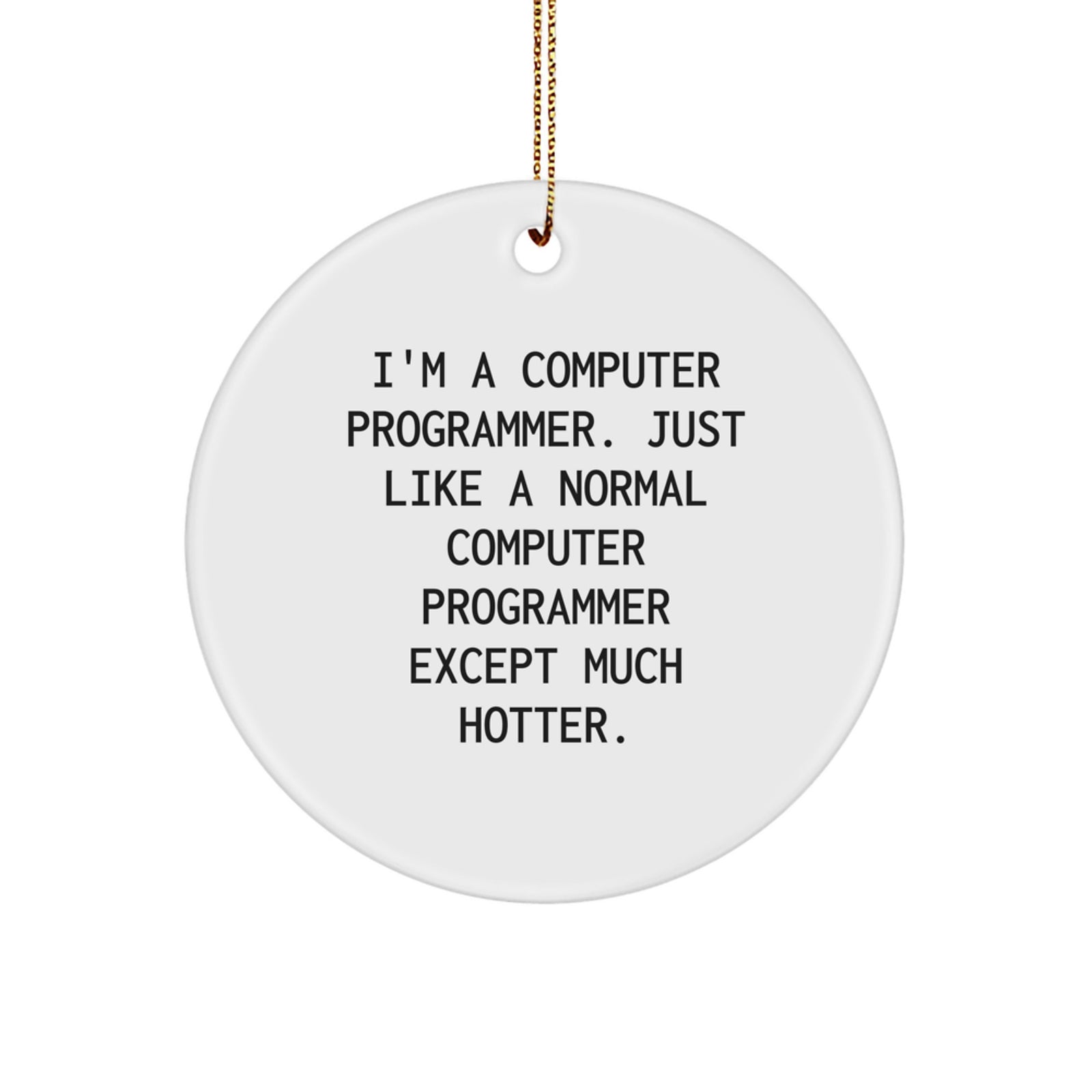 Funny Computer Programmer Gifts from Friends for Men, Unique Circle Ornament I'm A Computer Programmer Just Like A Normal One Except Much Hotter for Christmas - Image 1