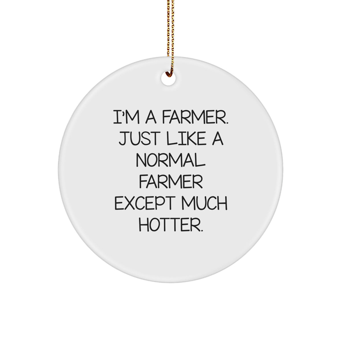 Funny Farmer Gifts for Men, Christmas Unique Circle Ornament 'I'm A Farmer. Just Like A Normal Farmer Except Much Hotter.' - Image 1
