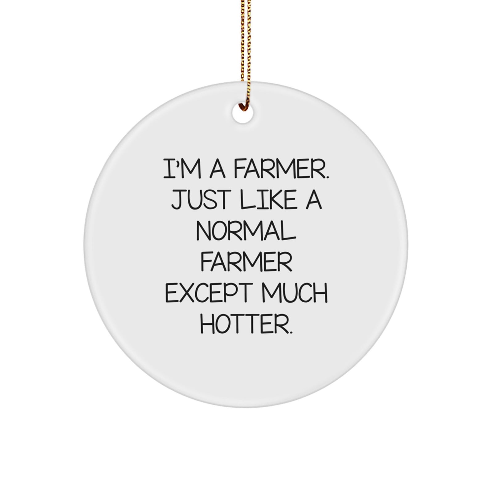 Funny Farmer Gifts for Men, Christmas Unique Circle Ornament 'I'm A Farmer. Just Like A Normal Farmer Except Much Hotter.' - Image 1