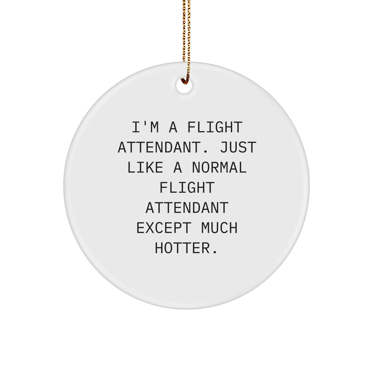 Funny Flight Attendant Gifts, I&#39;m A Flight Attendant Except Much Hotter, Circle Ornament for Christmas Unique Gifts from Friends to Flight Attendants - Image 1