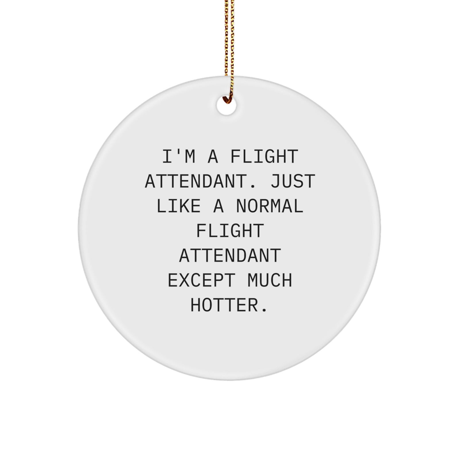 Funny Flight Attendant Gifts, I'm A Flight Attendant Except Much Hotter, Circle Ornament for Christmas Unique Gifts from Friends to Flight Attendants - Image 1