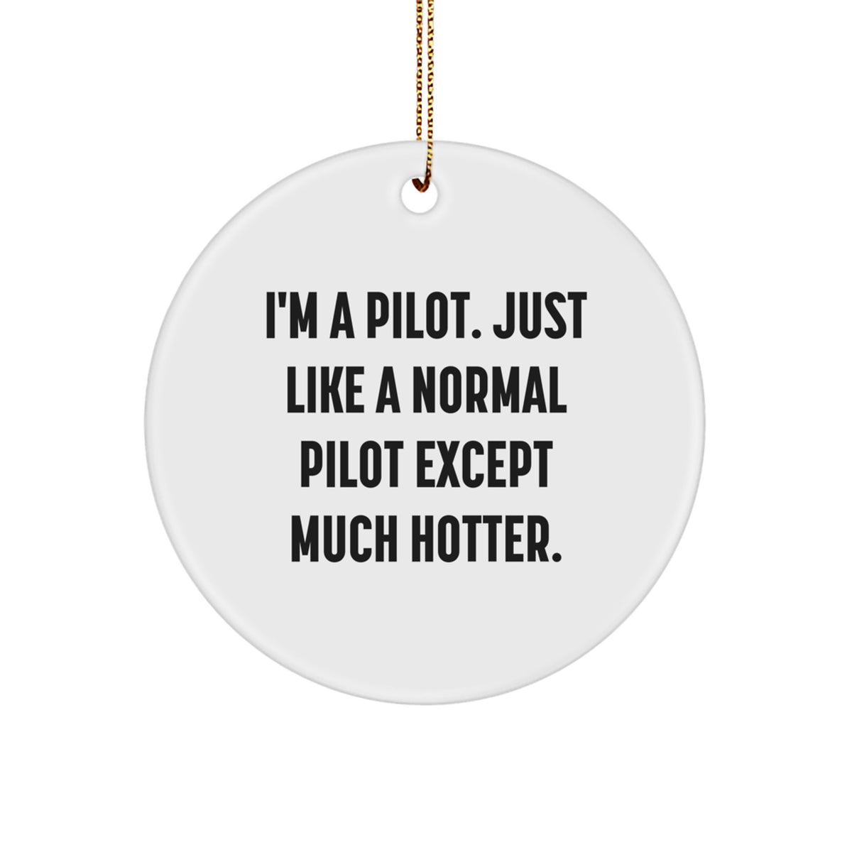 Funny Pilot Gifts from Friends for Pilot Christmas Unique Ornaments - Image 1