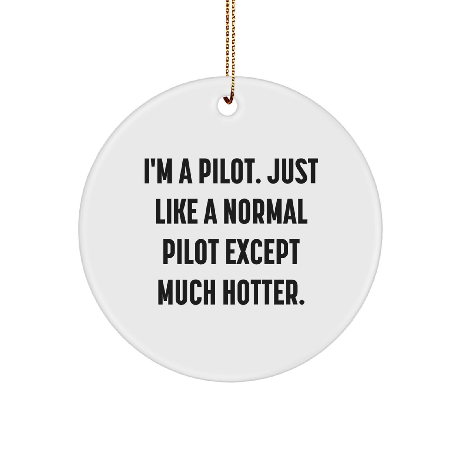 Funny Pilot Gifts from Friends for Pilot Christmas Unique Ornaments - Image 1