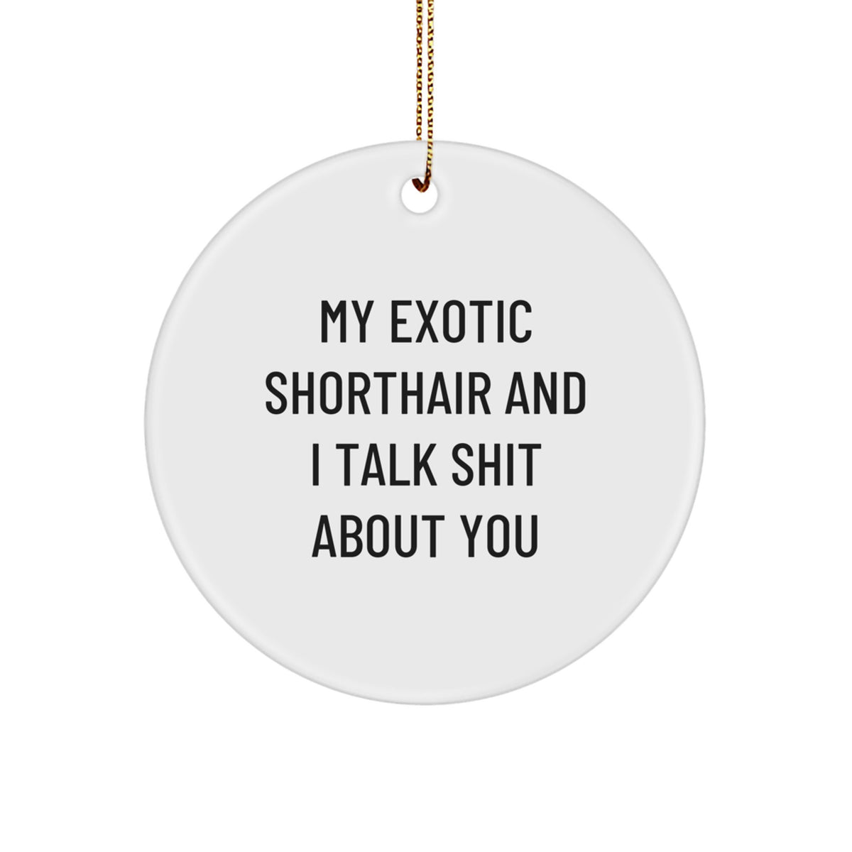 Exotic Shorthair Cat Lover Funny Circle Ornament Gifts from Friends for Christmas Unique Decorations - Image 1