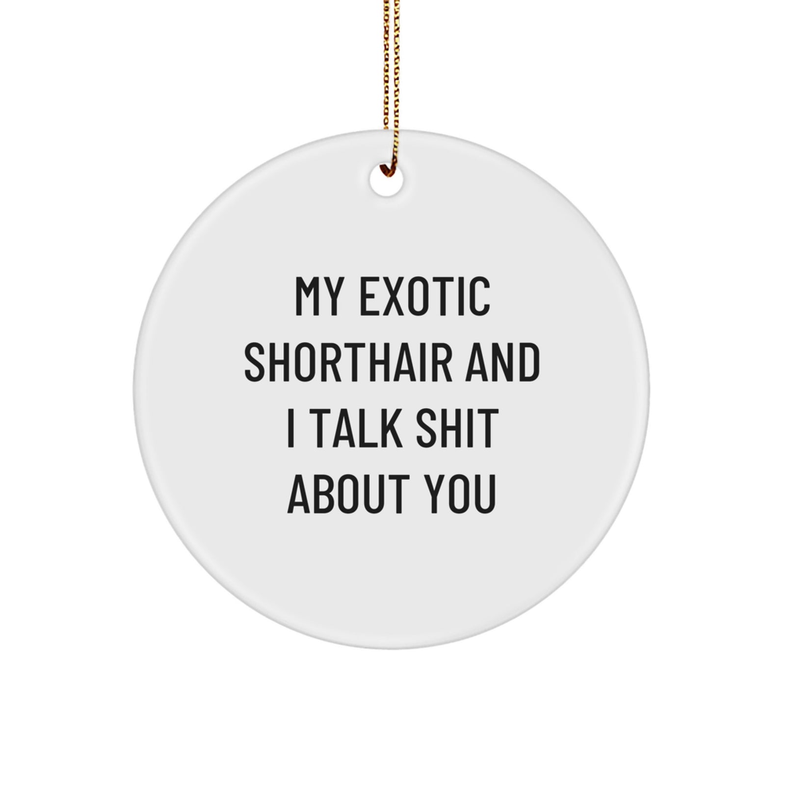 Exotic Shorthair Cat Lover Funny Circle Ornament Gifts from Friends for Christmas Unique Decorations - Image 1