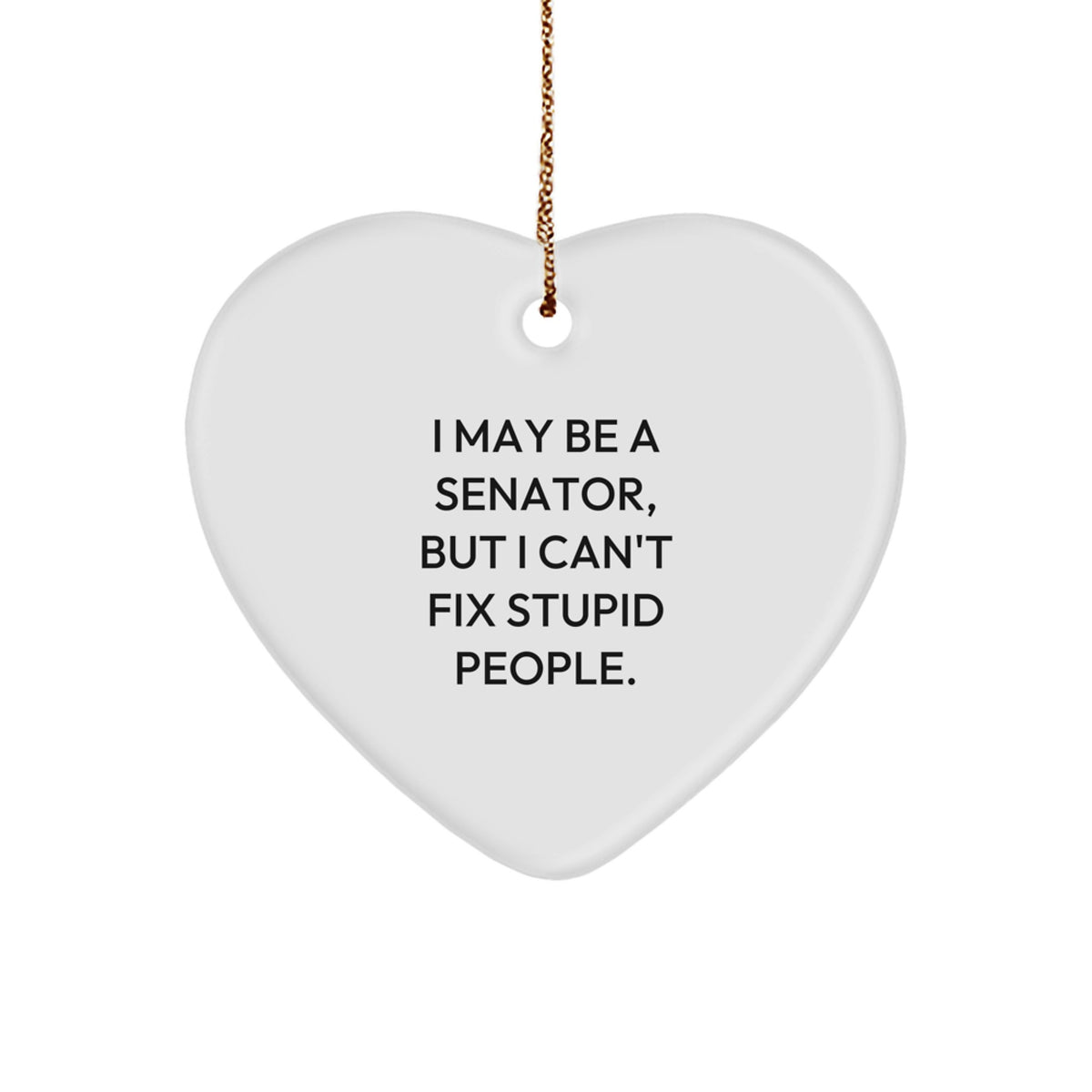 Senator Christmas Ornament Gift for Family - A Treasure, I May Be A - Image 1