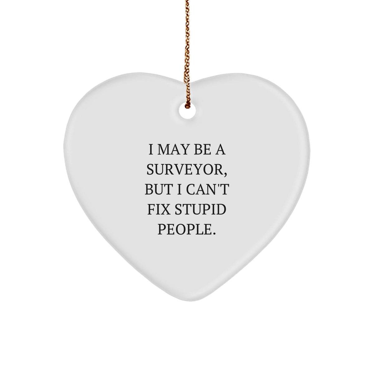Christmas Ornament Gift for Family Surveyor 'I May Be A Surveyor, But I - Image 1