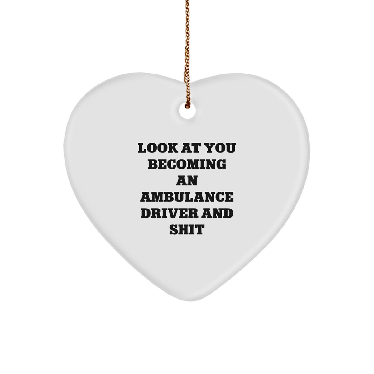 Favorite Christmas Gift For Kids - Ambulance Driver Ornament, A Humorous - Image 1