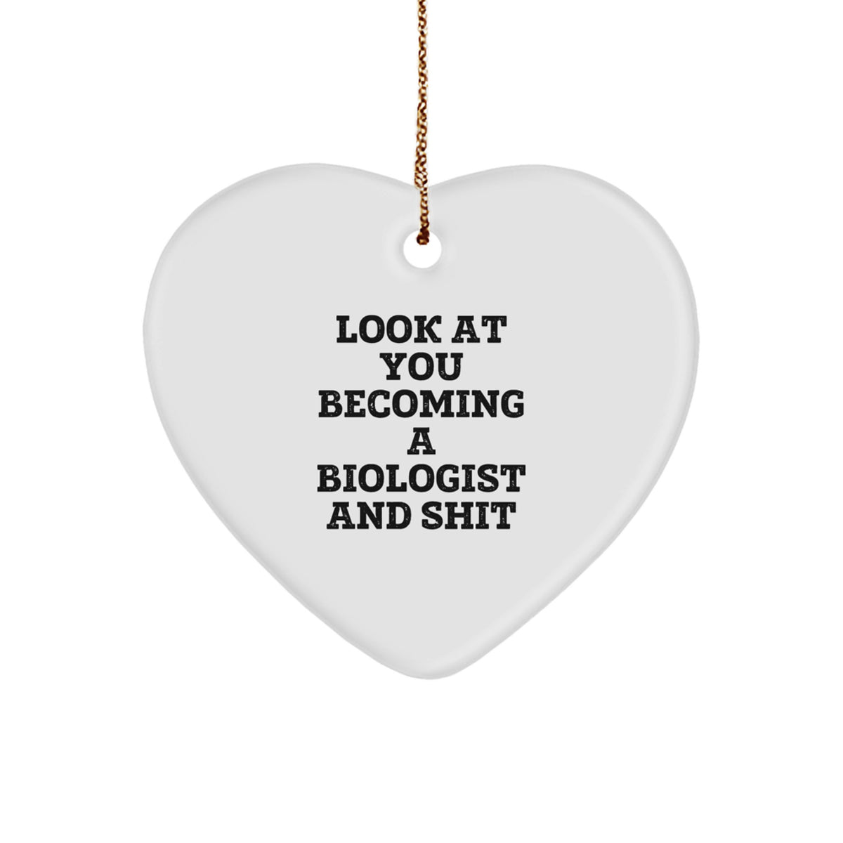 Biologist Christmas Ornament Gift A Treasure For Family - Look At You - Image 1