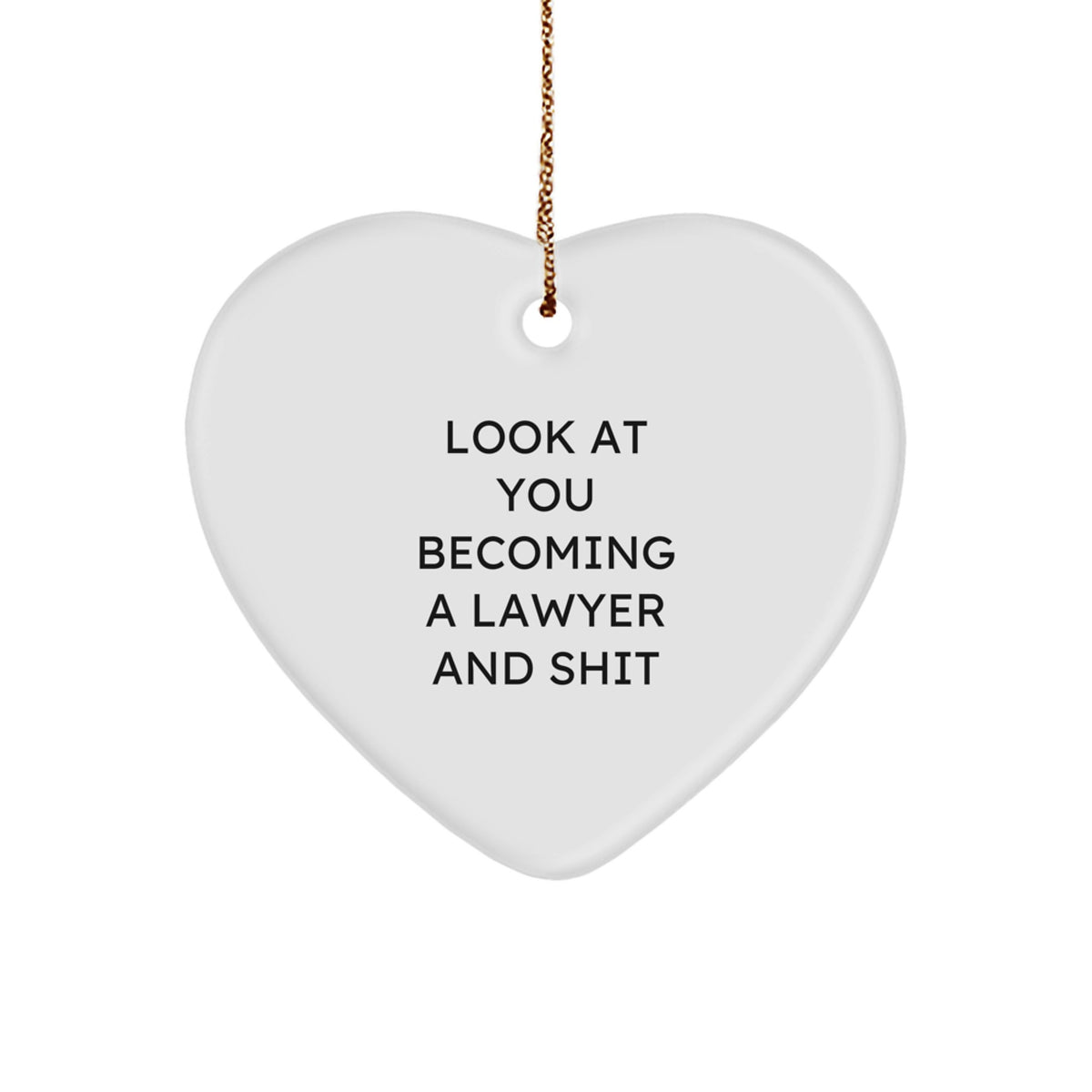 Christmas Ornament Gift for Family A Lawyer's Treasure - Look At You - Image 1