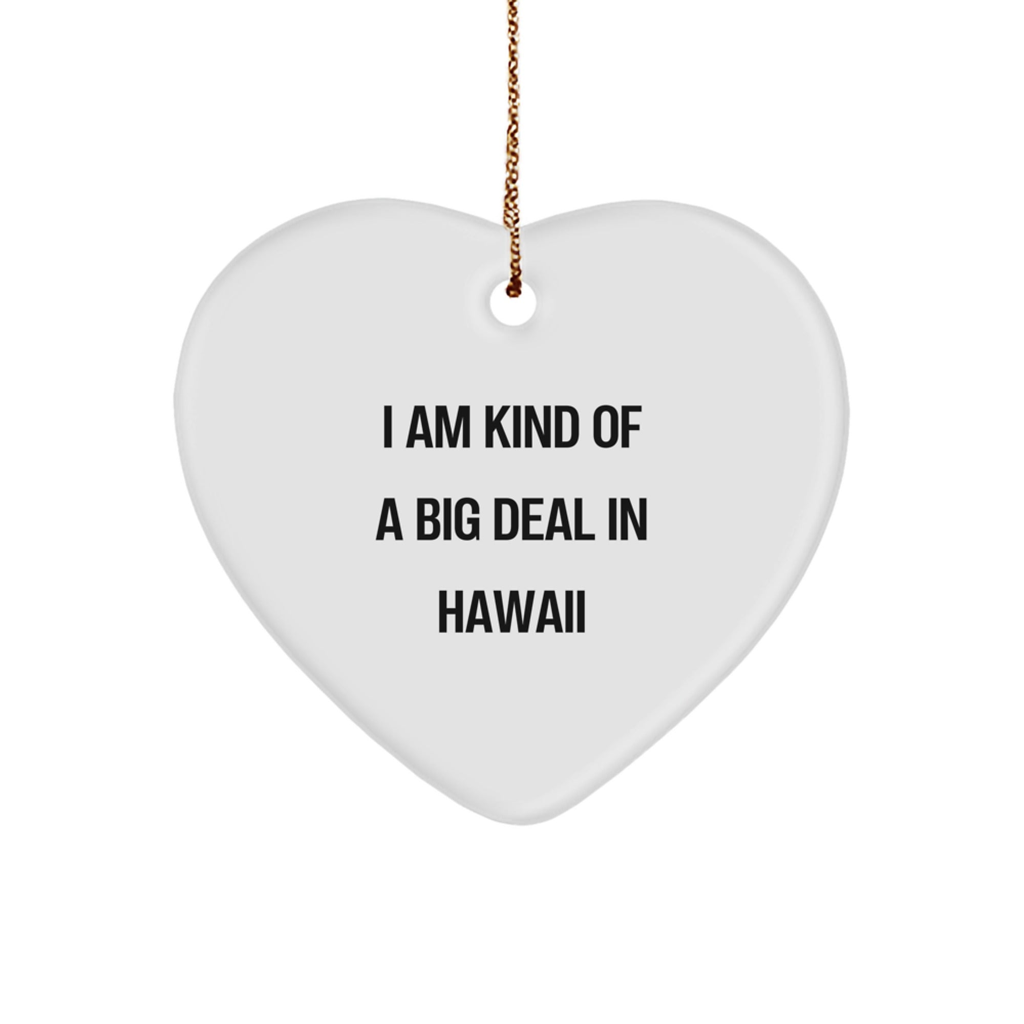 Funny Hawaii Gifts for Men - I Am Kind Of A Prime Selection In Hawaii Heart Ornament Gifts from Friends to Family - Image 1