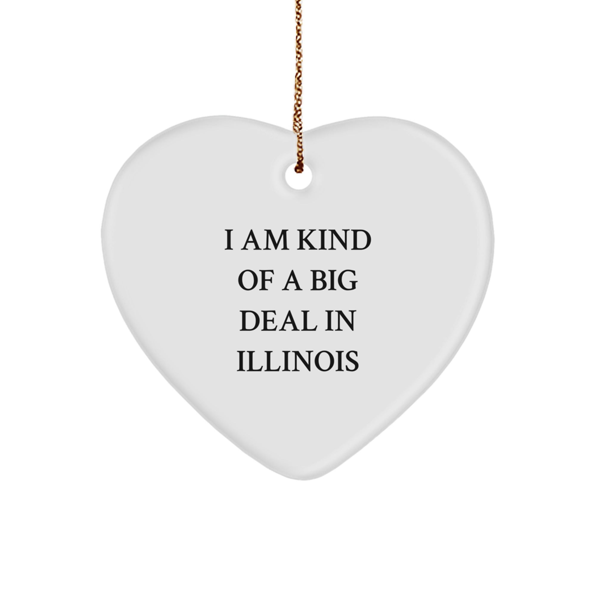 I Am Kind Of A Prime Selection In Illinois Heart Ornament, Unique Illinois Gifts, Christmas Decorations, Illinois Lover's Present - Image 1