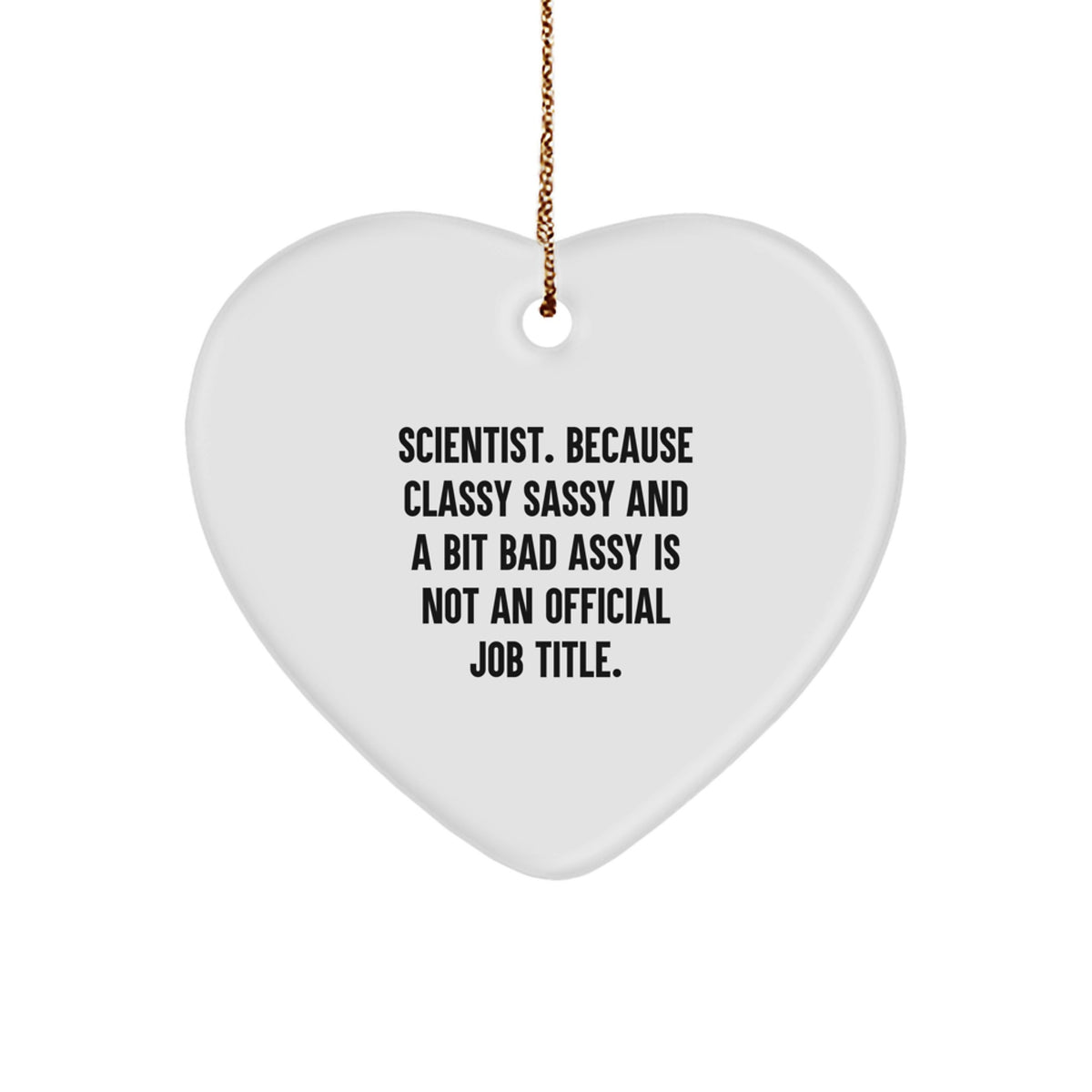 Funny Scientist Heart Ornament Gifts for Him, Unique Christmas Unique Gifts from Friends, Men, Women, Coworkers, Family - Image 1