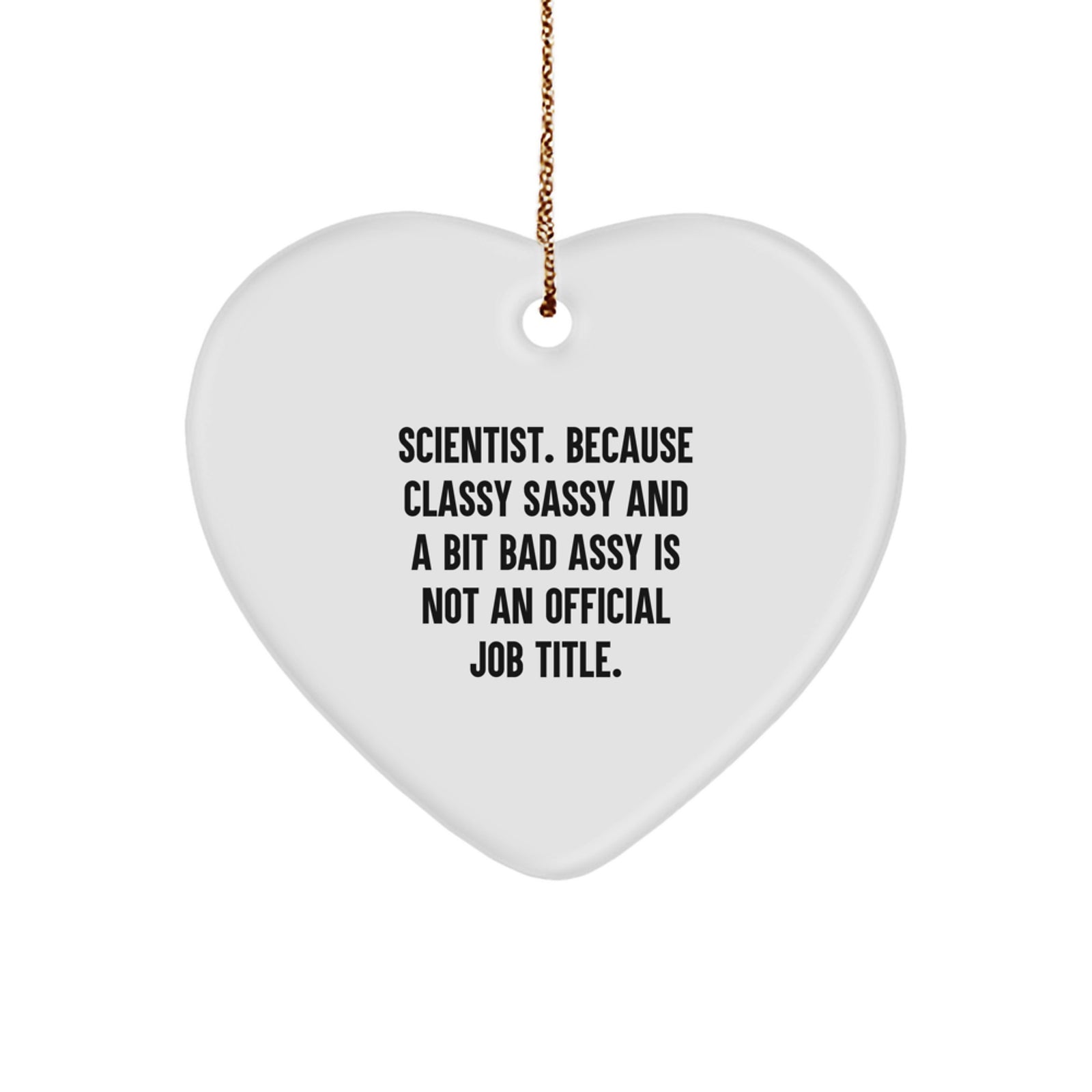 Funny Scientist Heart Ornament Gifts for Him, Unique Christmas Unique Gifts from Friends, Men, Women, Coworkers, Family - Image 1