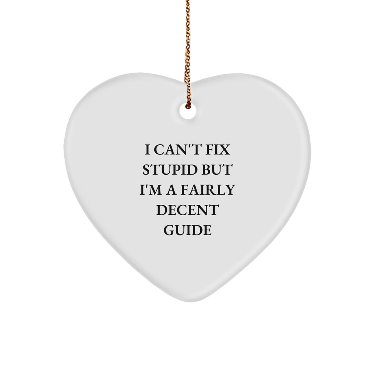 Funny Guide Gifts from Friends for Guide, Heart Ornament with 'I Cant Fix Stupid But Im A Fairly Decent Guide' Quote, Christmas Unique Gifts - Image 1