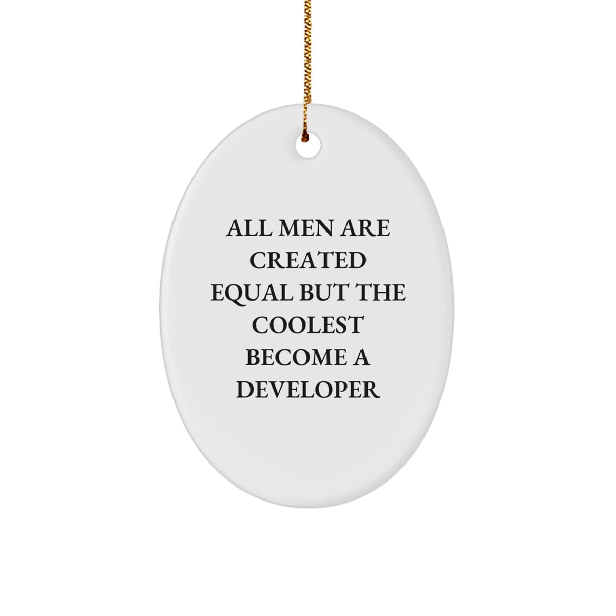 Developer Oval Ornament Gifts from Friends for Men with Funny Quote All Men Are Created Equal But The Coolest Become A Developer, Unique Christmas Decorations, Oval Shaped Gift - Image 1