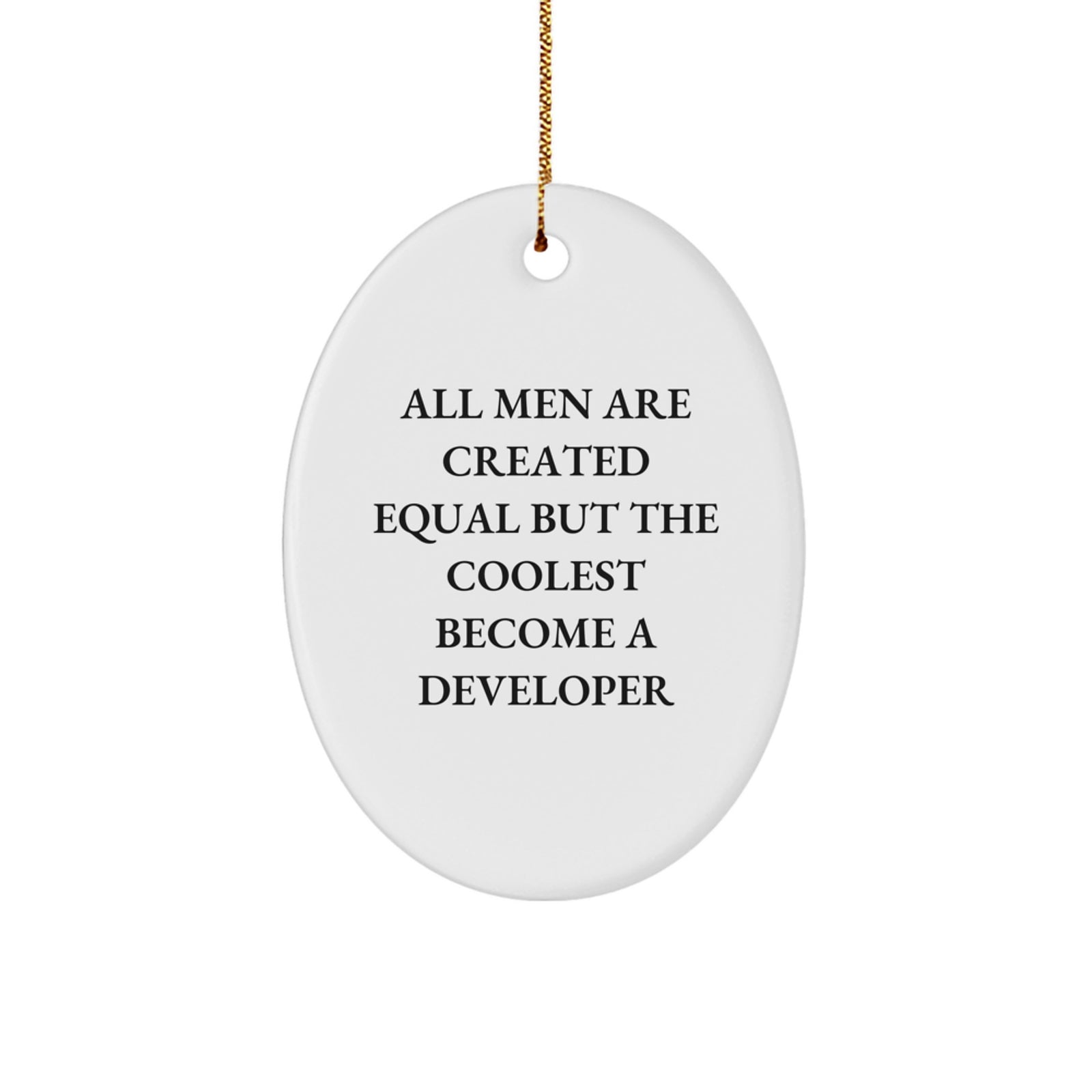 Developer Oval Ornament Gifts from Friends for Men with Funny Quote All Men Are Created Equal But The Coolest Become A Developer, Unique Christmas Decorations, Oval Shaped Gift - Image 1