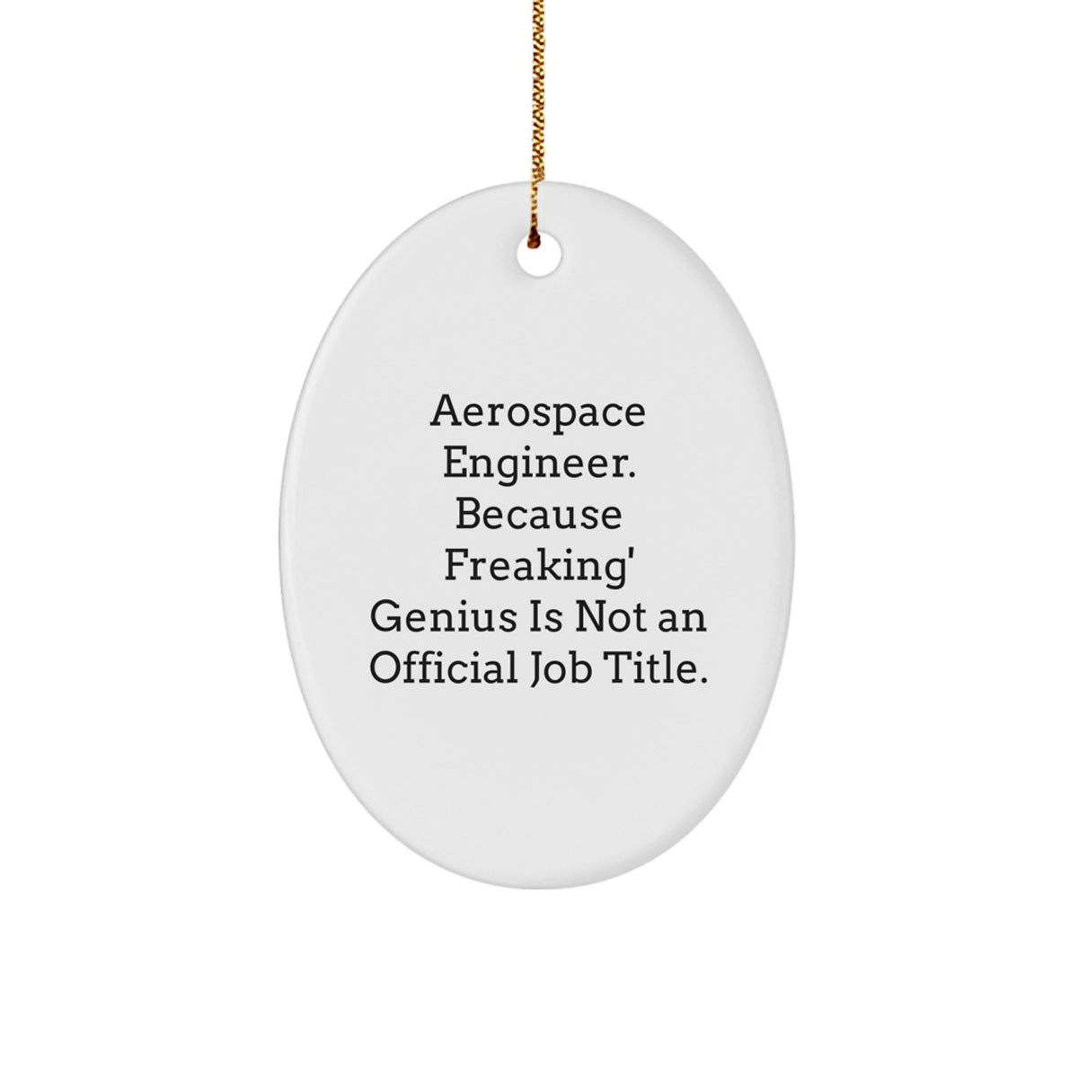 Christmas Gift for Her Aerospace Engineer Oval Ornament Present - Image 1