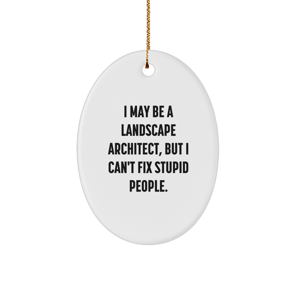 Funny Gifts from Friends for Landscape Architect Oval Ornament, 'I May Be A Landscape Architect, But I Can't Fix Stupid People.', Christmas Unique Gift Idea - Image 1