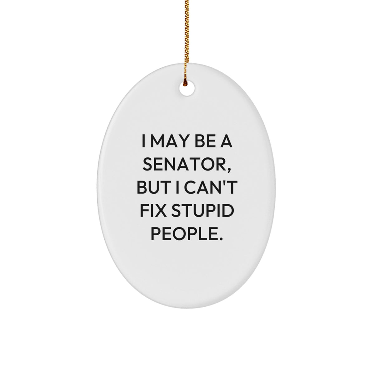 Senator Christmas Ornament Gift for Family - Treasure I May Be A Senator - Image 1