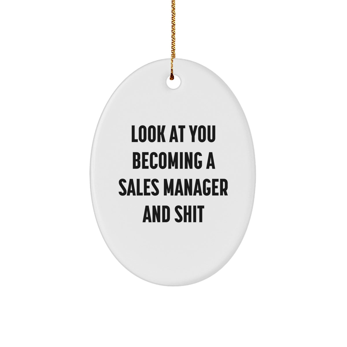 Funny Sales Manager Gifts, Oval Shaped Ornament for Desk, 'Look At You Becoming A Sales Manager And Shit' Quotes, Christmas Unique Gifts from Friends to Sales Manager - Image 1