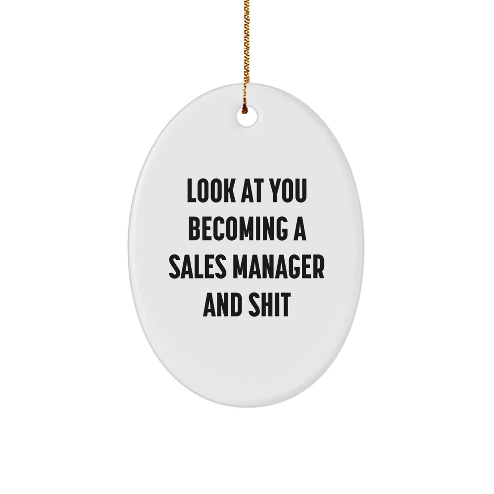 Funny Sales Manager Gifts, Oval Shaped Ornament for Desk, 'Look At You Becoming A Sales Manager And Shit' Quotes, Christmas Unique Gifts from Friends to Sales Manager - Image 1