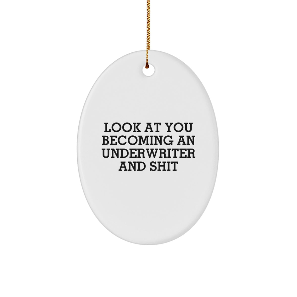 Christmas Ornament Gift for Her Look At You Becoming An Underwriter And - Image 1
