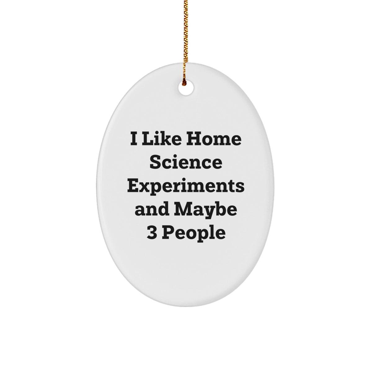 Home Science Experiments Gifts for Oval Ornament Enthusiasts, Funny Quote, Gifts from Friends and Family, Christmas Unique Decor - Image 1