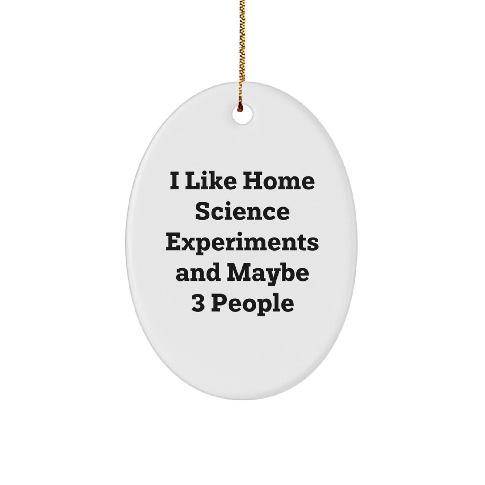 Home Science Experiments Gifts for Oval Ornament Enthusiasts, Funny Quote, Gifts from Friends and Family, Christmas Unique Decor - Image 1