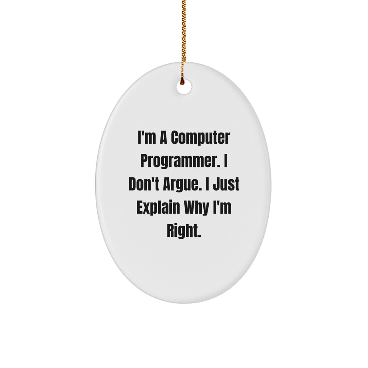 Funny Computer Programmer Gifts for Him, White Oval Ornament with Inspirational Quote, Gifts from Friends or Family for Christmas Unique Presents - Image 1