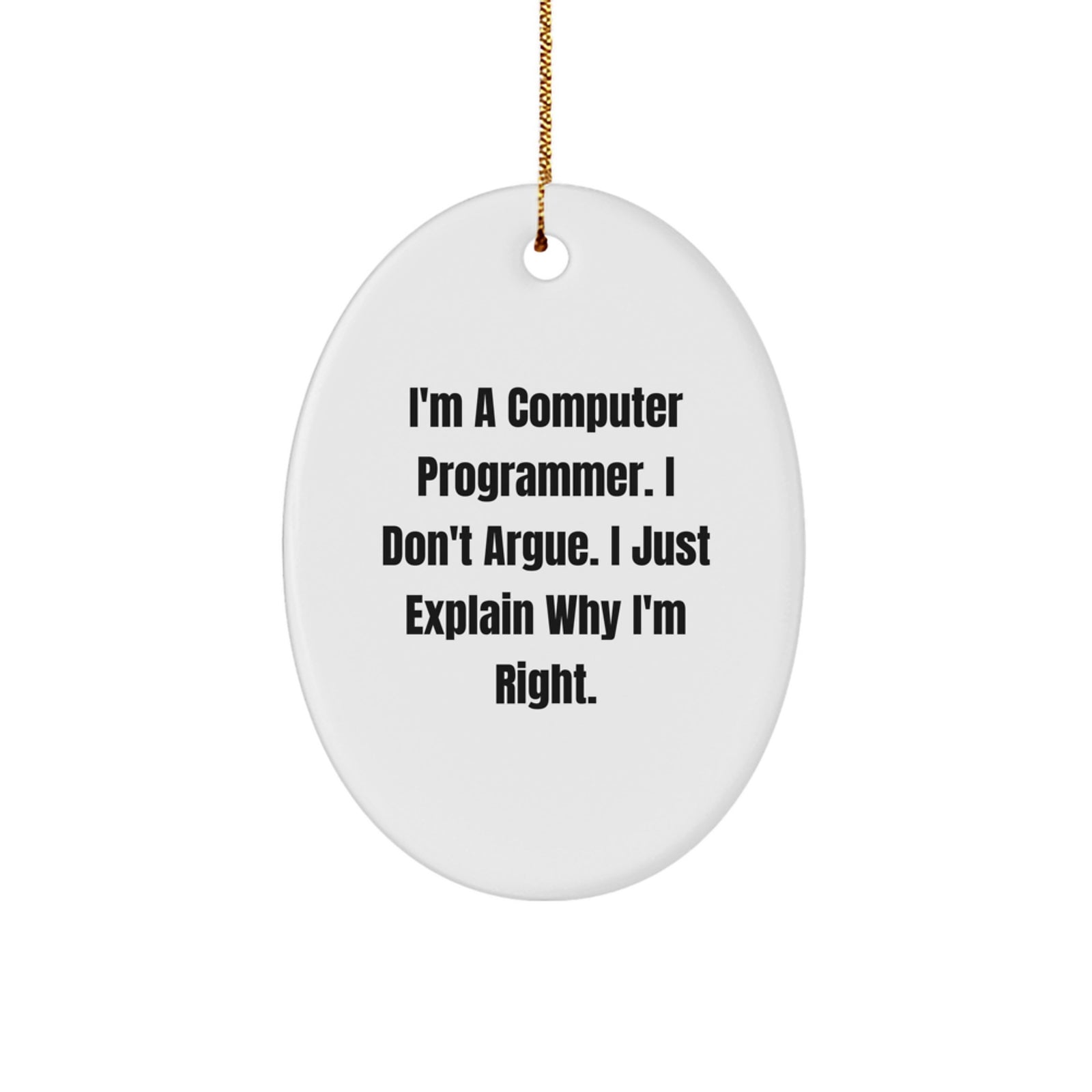 Funny Computer Programmer Gifts for Him, White Oval Ornament with Inspirational Quote, Gifts from Friends or Family for Christmas Unique Presents - Image 1