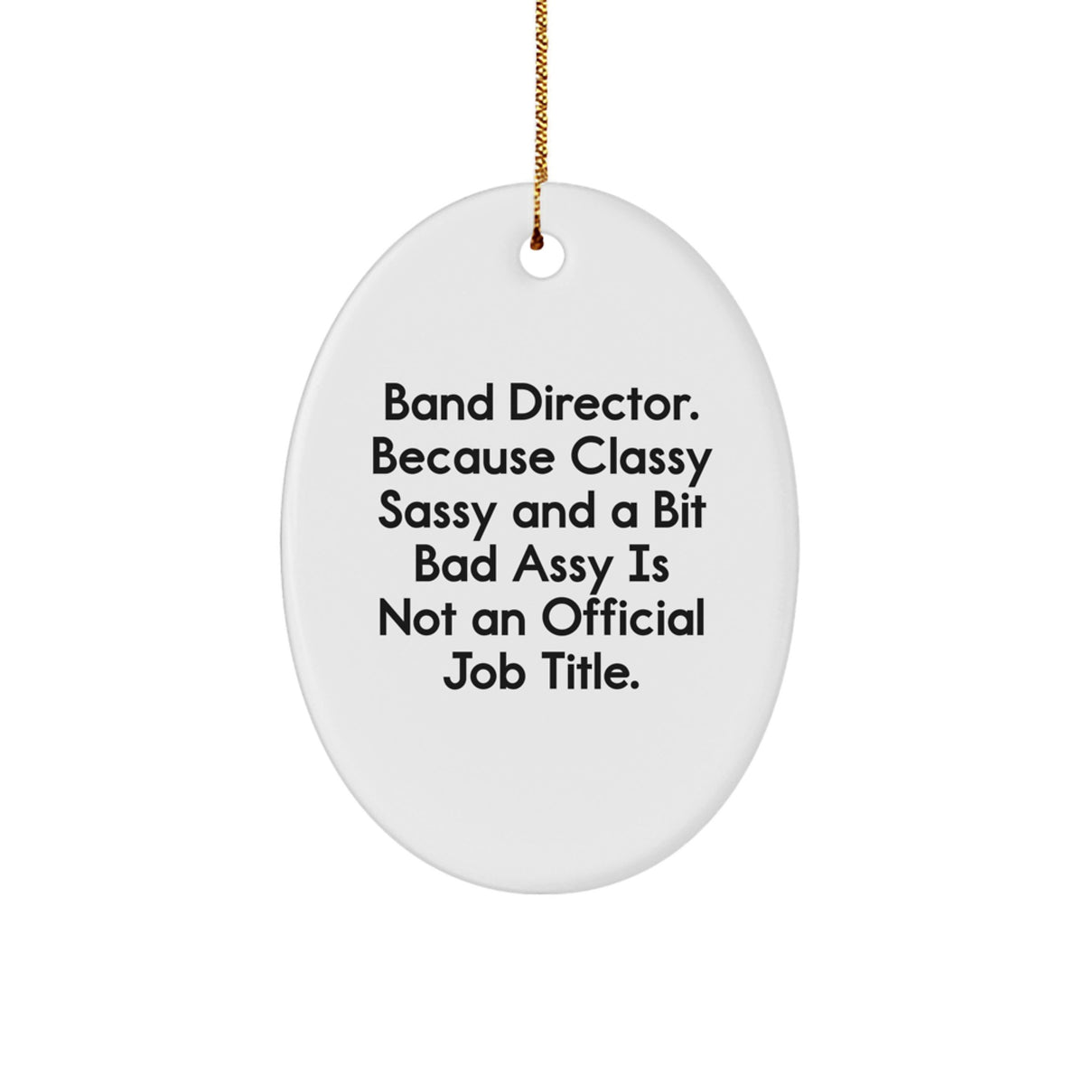 Funny Band Director Gifts Oval Ornament for Christmas Unique Gift from Friends to Band Directors - Image 1