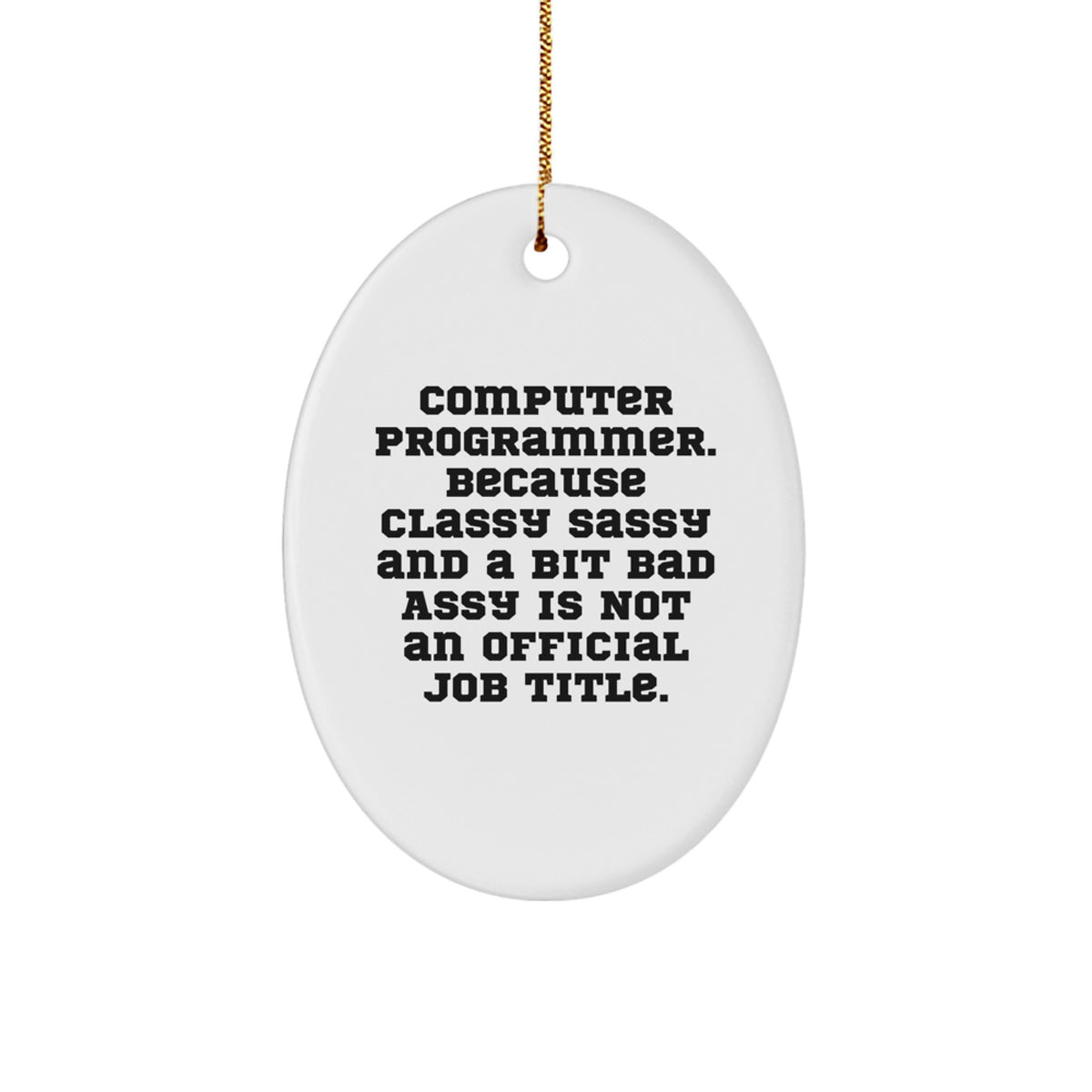 Funny Computer Programmer Oval Ornament Gifts from Men to Friends, Christmas Unique Decorations for Men, Women, Friends, Family, Coworkers - Image 1