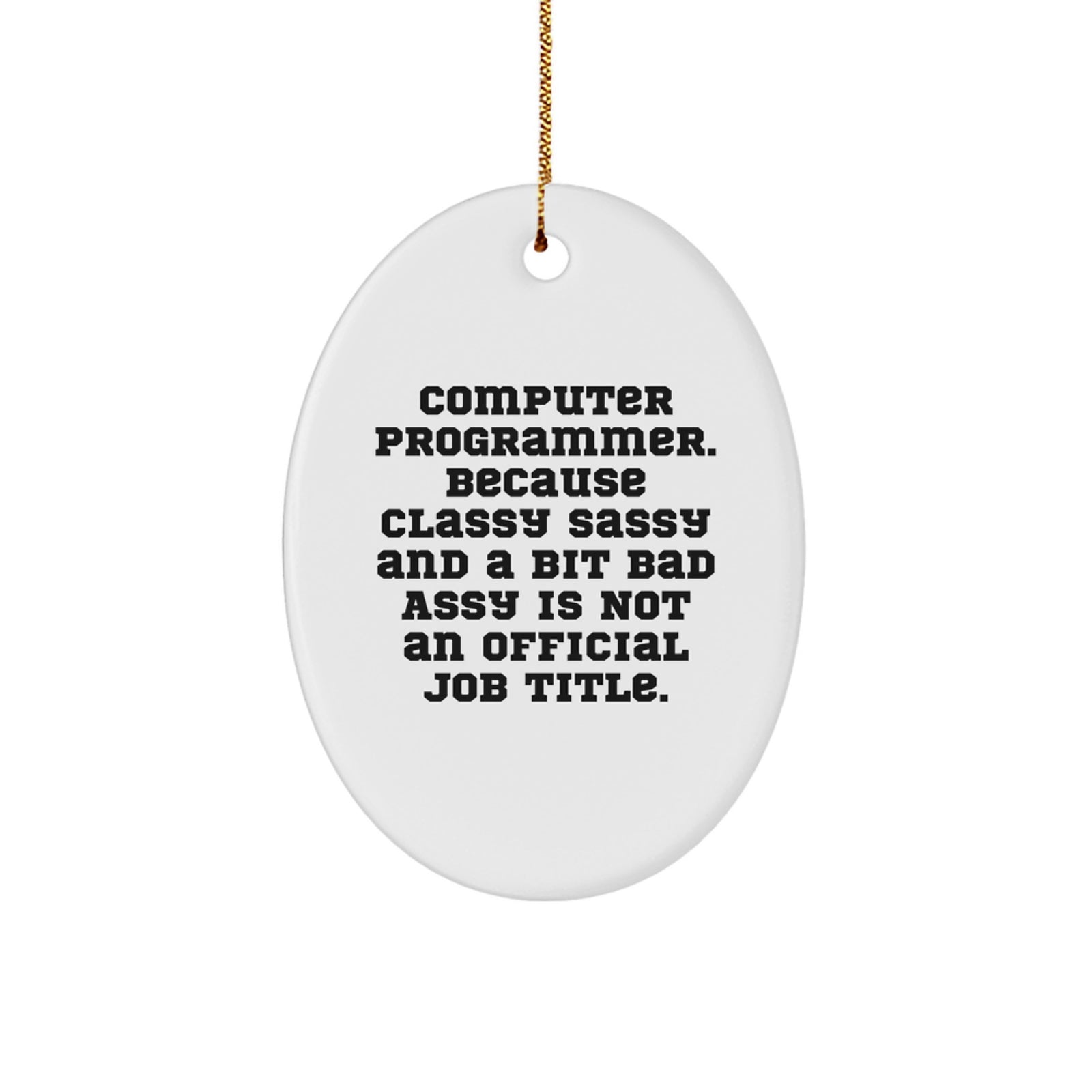 Funny Computer Programmer Oval Ornament Gifts from Men to Friends, Christmas Unique Decorations for Men, Women, Friends, Family, Coworkers - Image 1