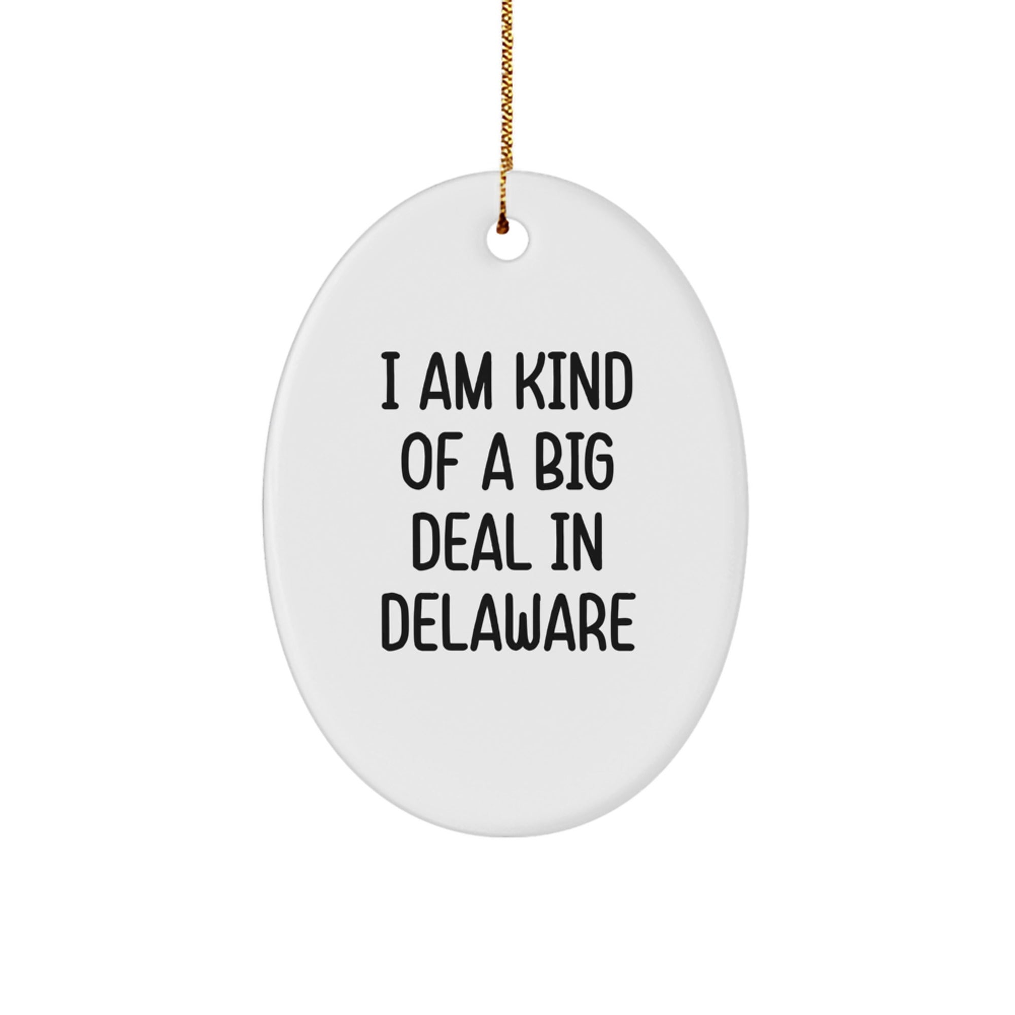 Delaware Gifts for Friends from Men - Oval Ornament I Am Kind Of A Prime Selection In Delaware, Funny Quote, Christmas Unique Gifts, Oval Shape - Image 1