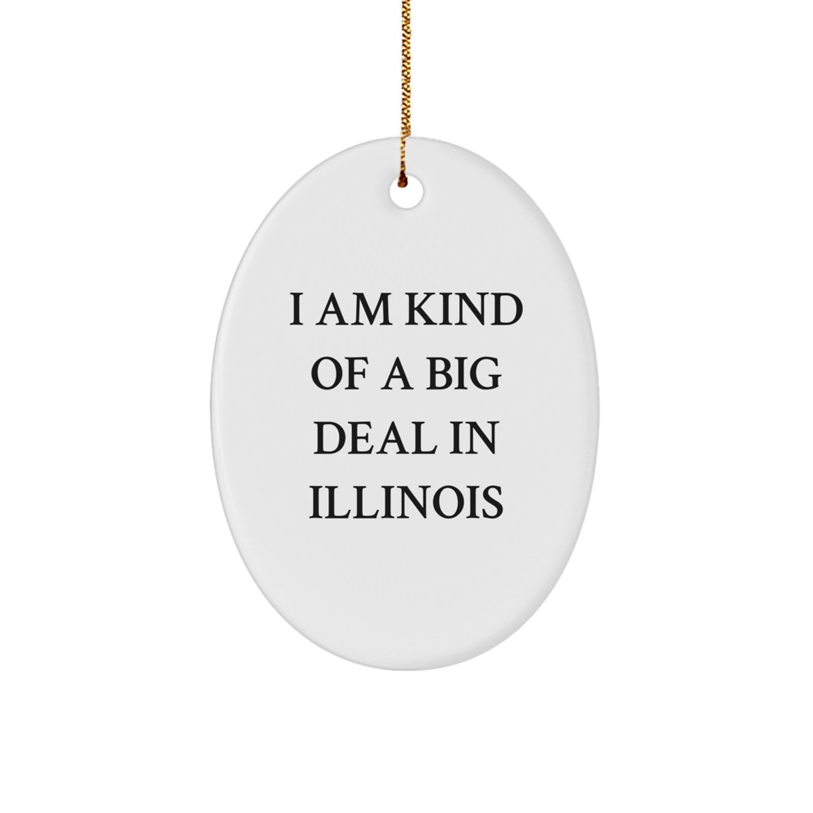 Funny Illinois Oval Ornament for Friends and Family with I Am Kind Of A Prime Selection In Illinois Quote, Gifts from Illinois, Christmas Unique Gifts - Image 1