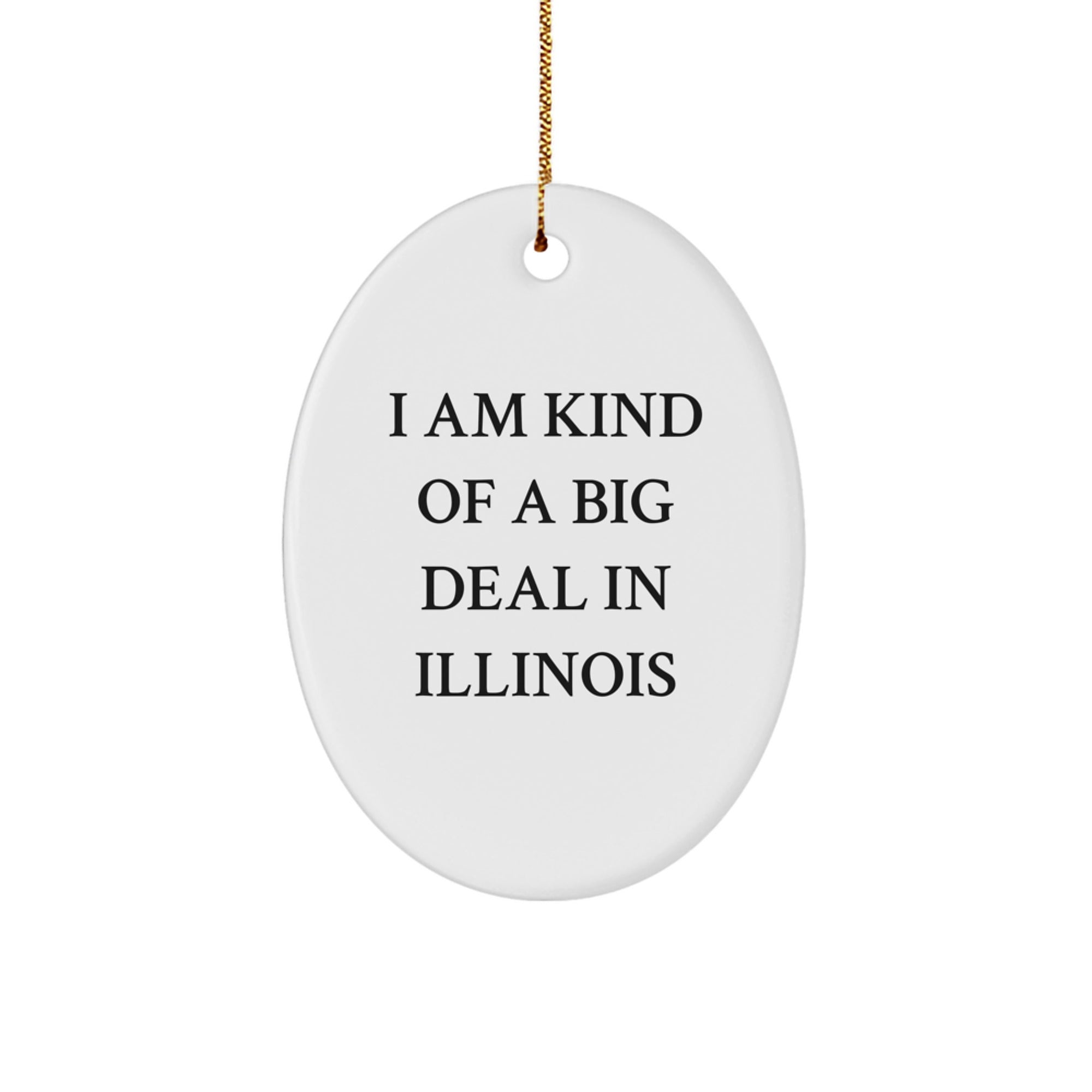 Funny Illinois Oval Ornament for Friends and Family with I Am Kind Of A Prime Selection In Illinois Quote, Gifts from Illinois, Christmas Unique Gifts - Image 1