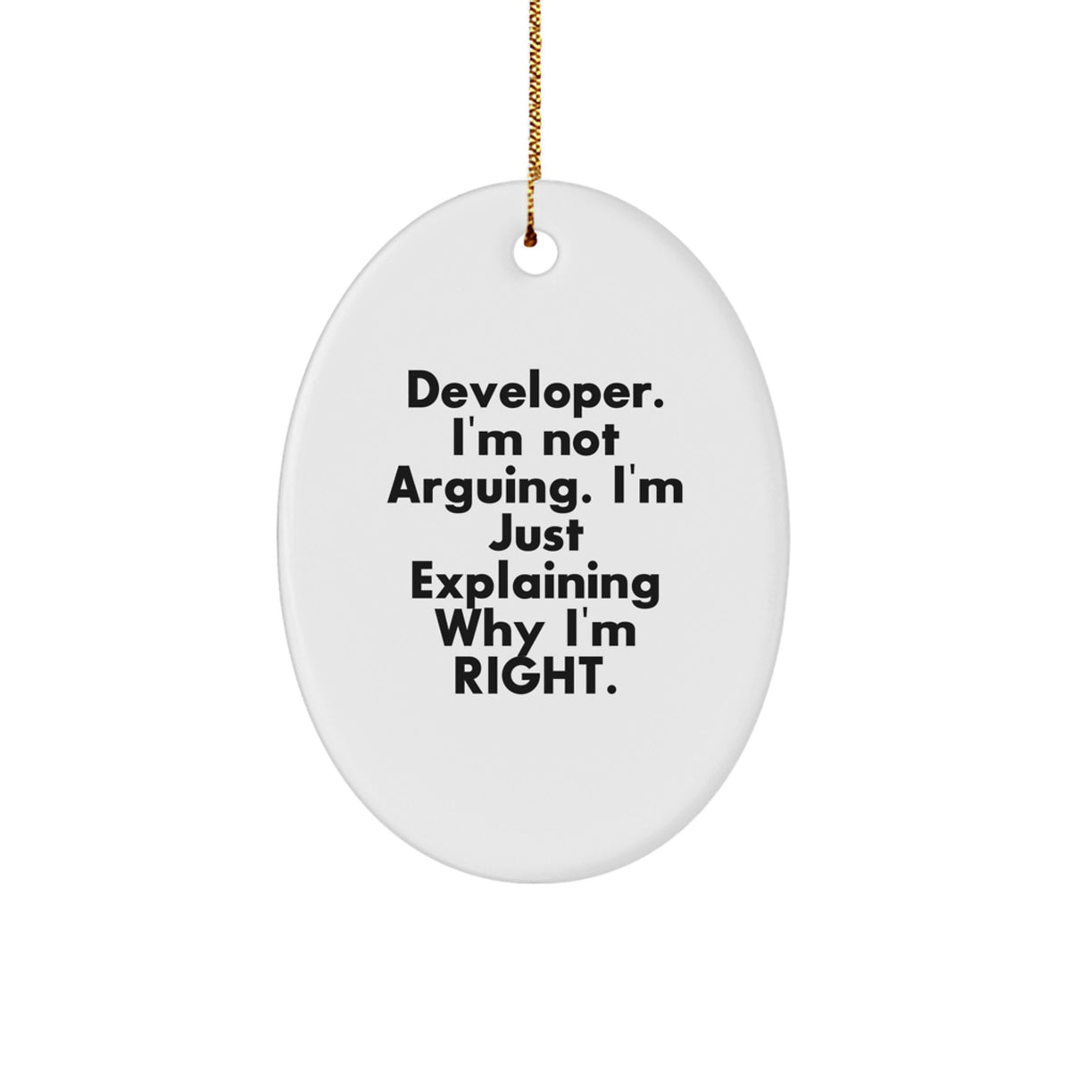 Funny Developer Christmas Unique Gifts for Friends from Men, Developer Oval Ornament, I'm Not Arguing, Just Explaining Why I'm Right. - Image 1
