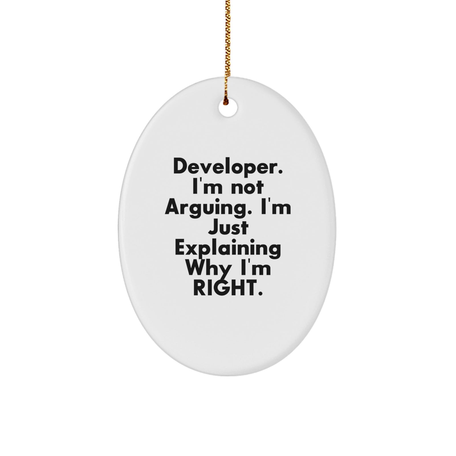 Funny Developer Christmas Unique Gifts for Friends from Men, Developer Oval Ornament, I'm Not Arguing, Just Explaining Why I'm Right. - Image 1