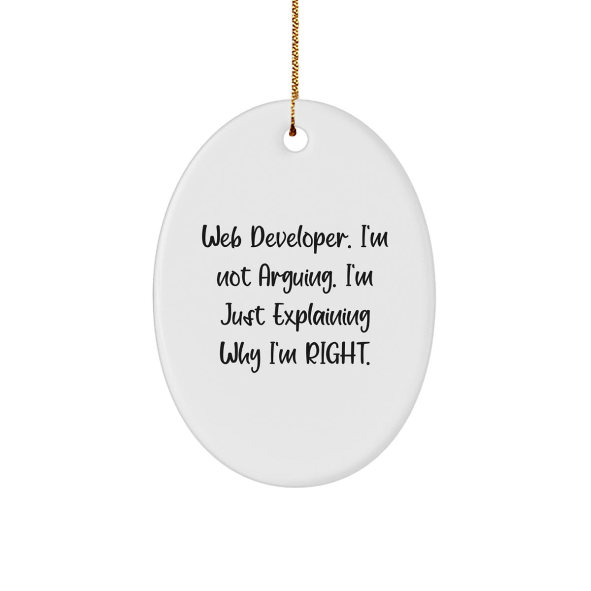 Funny Web Developer Oval Ornament Gifts from Friends for Christmas Unique Presents - Image 1