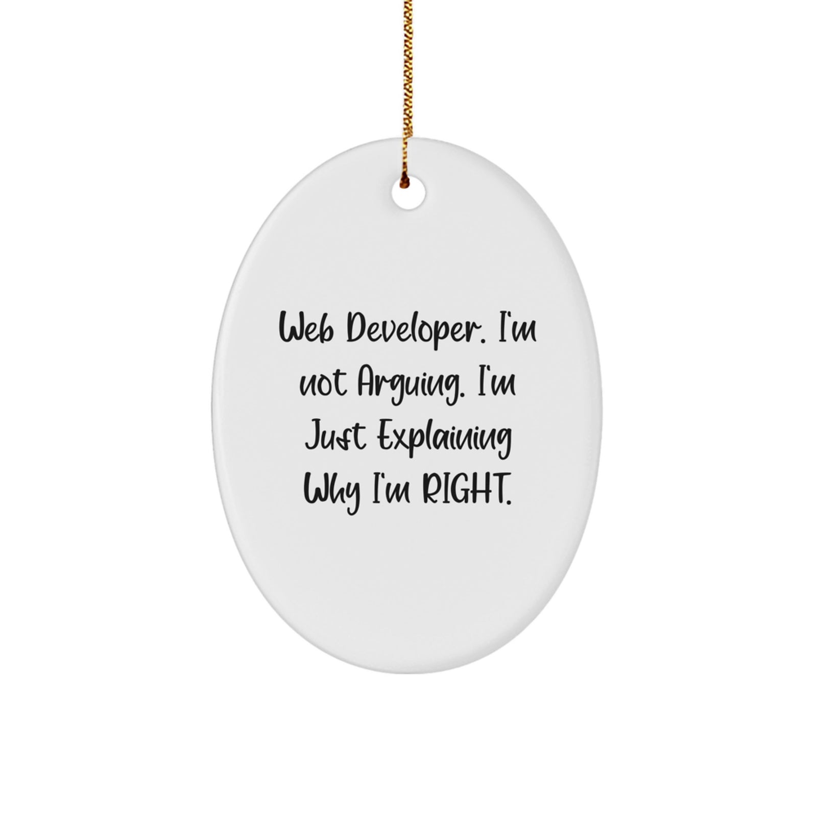 Funny Web Developer Oval Ornament Gifts from Friends for Christmas Unique Presents - Image 1