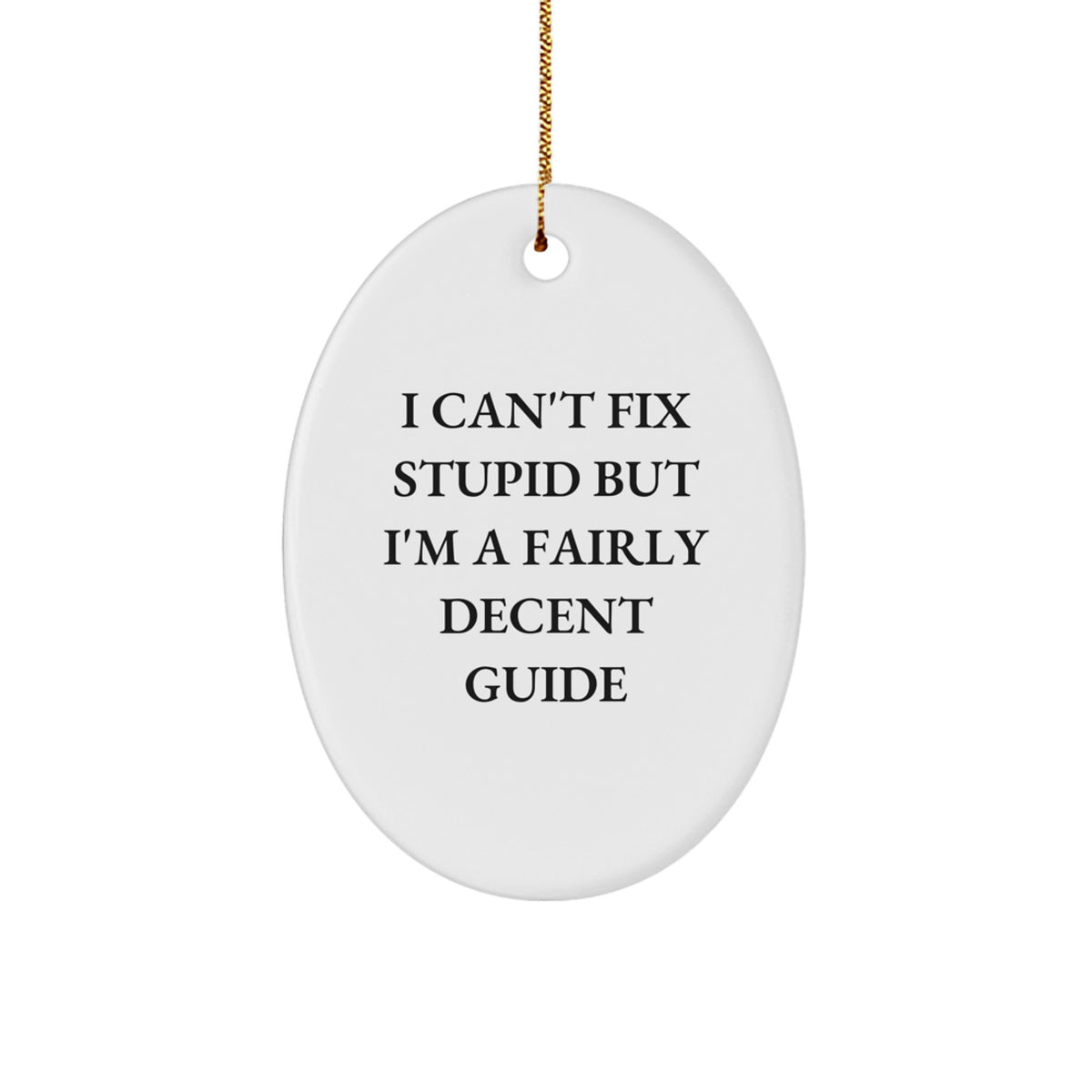 Gifts from Men for Guide Enthusiasts - Funny Oval Ornament for Christmas Unique Gifts - Image 1