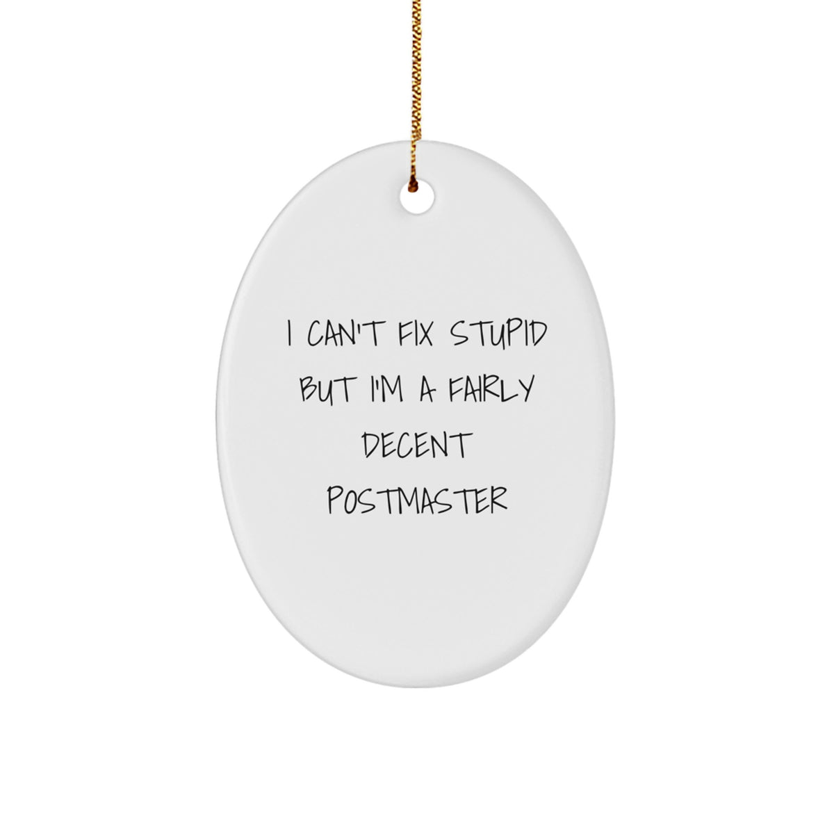 Funny Postmaster Oval Ornament Gifts for Him from Friends - I Can't Fix Stupid - Image 1