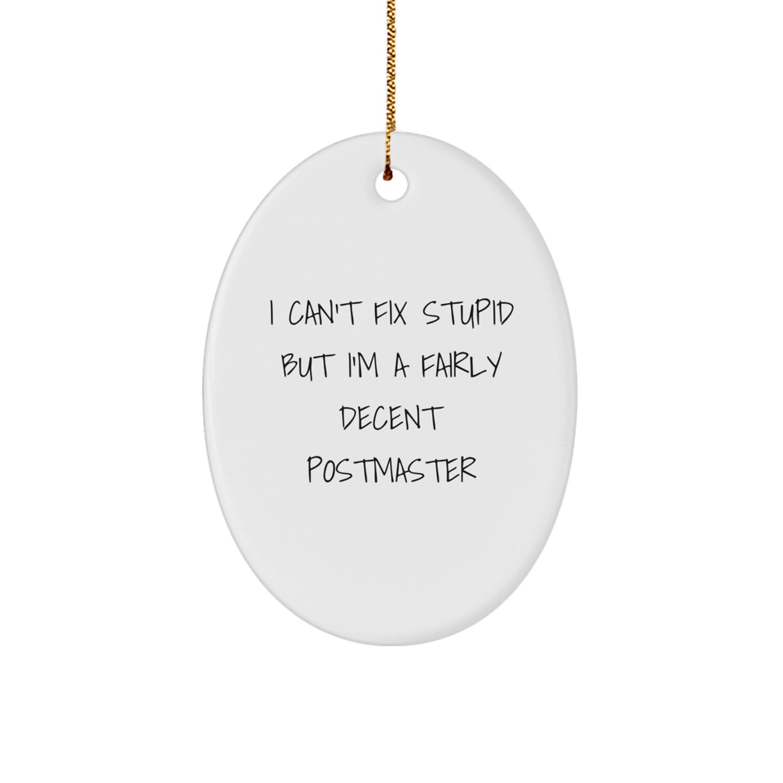 Funny Postmaster Oval Ornament Gifts for Him from Friends - I Can't Fix Stupid - Image 1