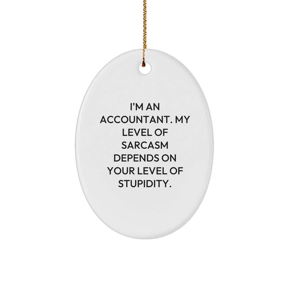 Funny Accountant Gifts from Friends and Family - Oval Ornament for Christmas Unique Presents for Accountants - Image 1