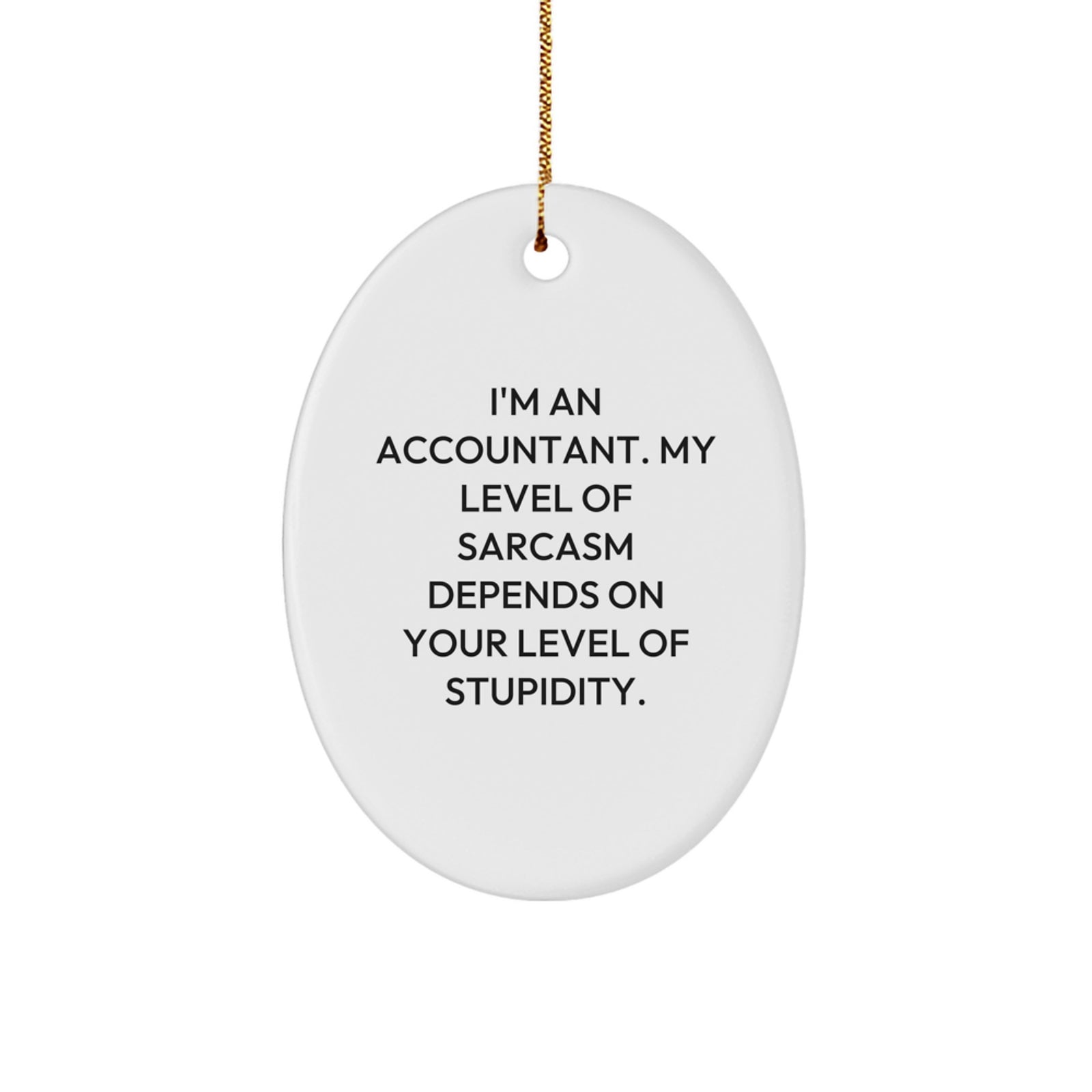Funny Accountant Gifts from Friends and Family - Oval Ornament for Christmas Unique Presents for Accountants - Image 1