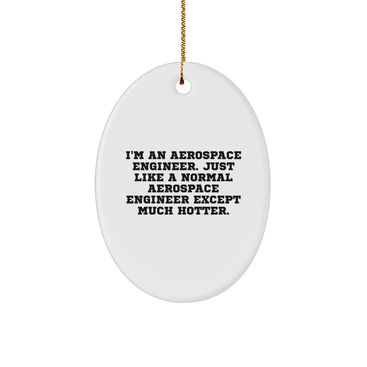 Aerospace Engineer Oval Ornament, Funny Quote Gift for Him, Christmas Unique Gifts from Friends or Coworkers, &#39;I&#39;m An Aerospace Engineer. Just Like A Normal Aerospace Engineer Except Much Hotter.&#39; - Image 1