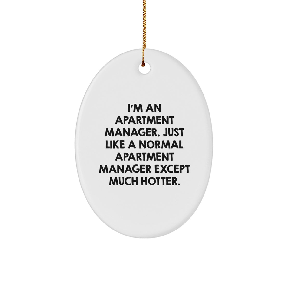 Funny Apartment Manager Oval Ornament Gifts from Men to Friends - Unique Christmas Decorations for Apartment Managers - Image 1